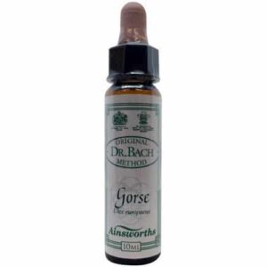 Gorse 10ml. - Ainsworths