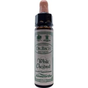 White Chestnut 10ml. - Ainsworths